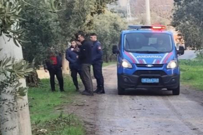 Zeytinleri dalından çaldılar