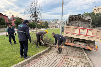 Şiddetli Lodosun Devirdiği Ağaçlara Osmangazi Belediyesi’nden Anında Müdahale