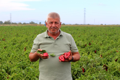 Zarar Üstüne Zarar: Üç Yıldır Kaybeden Çiftçi Artık Yolun Sonunda