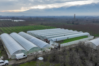 Lodostan zarar gören seralara Büyükşehir desteği