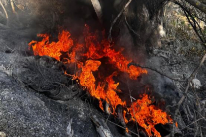 Kışın ortasında yangın