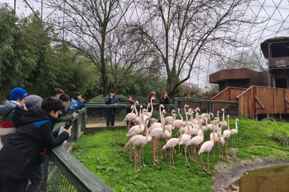 Doğa dedektifleri iz peşinde