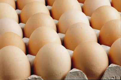 Kişi başına düşen yumurta üretimi 15 adet azaldı