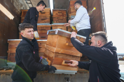 Kırsal üretime kovan desteği