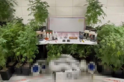 Jandarmadan uyuşturucu operasyonu: Evde üretim düzeneği kurmuş