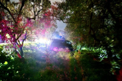 Mudanya’da kazadan kaçan sürücü zeytinliğe daldı