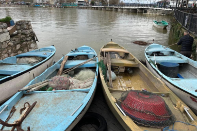 İstilacı İsrail sazanları balıkçılara gelir kaynağı oldu