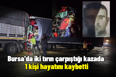 Bursa'da iki tırın çarpıştığı kazada 1 kişi hayatını kaybetti