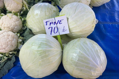 Pazarda 70 lira ama yüzbinlercesi tarlada çürüdü: Üreticiler Tarım Kredi'ye çağrı yaptı