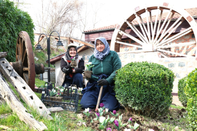 Osmangazi’nin Her Bir Noktası Çiçek Açtı