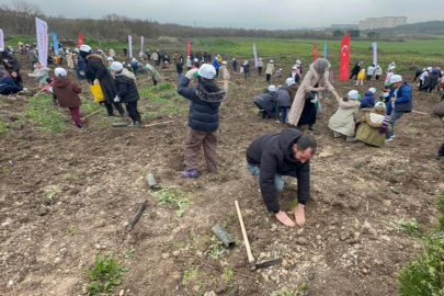 Bursa'da 2 yıl önce yanan 80 hektarlık alan ağaçlandırıldı