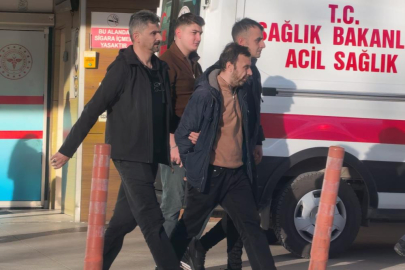 Araç faresi yakayı ele verdi