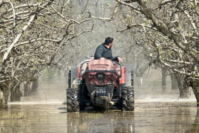 Bursa'da yüzlerce dönüm şeftali ve armut bahçesi su altında