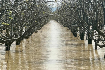 Bursa"nın dağı ovası suya doydu