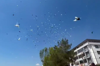 Güvercinin başkentinde gökyüzünde muhteşem şov