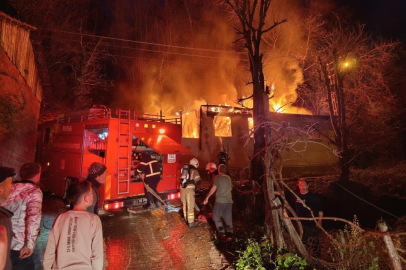 Bursa'daki ev yangını ormana sıçramadan söndürüldü
