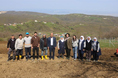 Nilüfer’de atıl araziler bereketleniyor