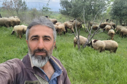 Çeşme sakızı ile Fransız koçunu birleştirdi, verimi katladı