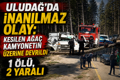 Uludağ'da inanılmaz olay: Kesilen ağaç kamyonetin üzerine devrildi 1 Ölü, 2 Yaralı