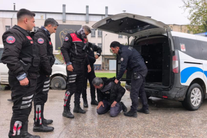 Ehliyetsiz sürücü zorluk çıkarınca biber gazı yedi