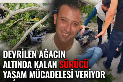 Devrilen Ağacın Altında Kalan Sürücü Yaşam Mücadelesi Veriyor