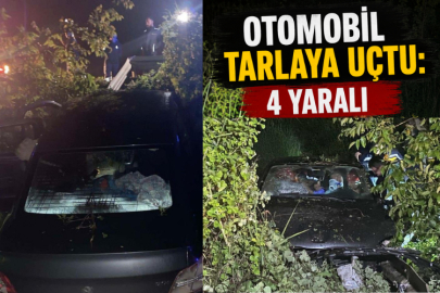 Otomobil tarlaya uçtu: 4 yaralı