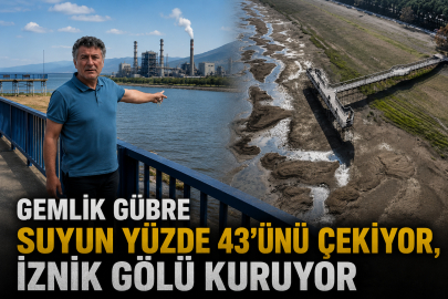 Gemlik Gübre suyun yüzde 43'ünü çekiyor, İznik Gölü kuruyor