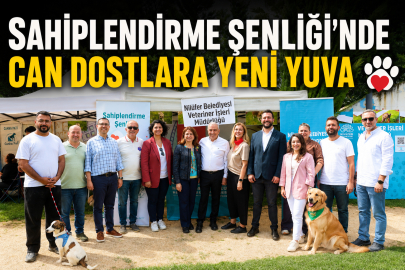 Sahiplendirme Şenliği’nde can dostlara yeni yuva