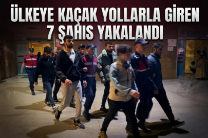 Ülkeye kaçak yollarla giren 7 şahıs yakalandı