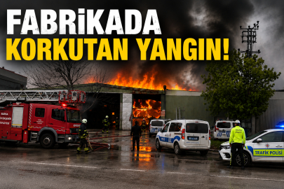 Bursa'da sunta fabrikasında korkutan yangın
