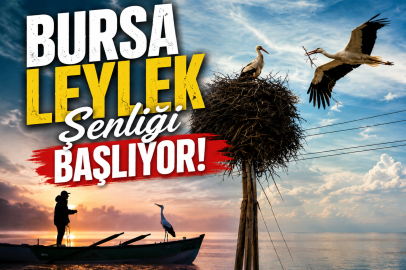 'Bursa Leylek Şenliği' başlıyor