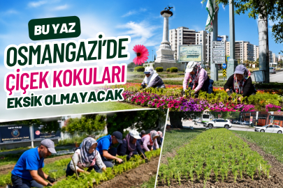 Bu Yaz Osmangazi’de Çiçek Kokuları Eksik Olmayacak