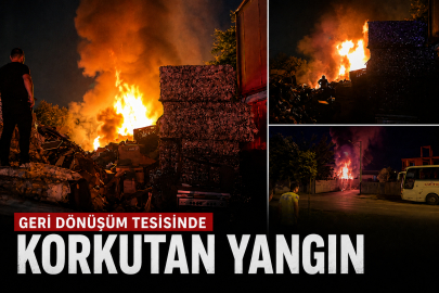 Geri dönüşüm tesisi alevlere teslim oldu