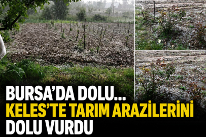 Bursa'da dolu… Keles'te tarım arazilerini dolu vurdu