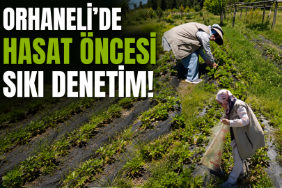 Orhaneli'de Hasat Öncesi Sıkı Denetim!