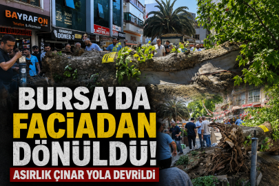Bursa'da faciadan dönüldü...Asırlık çınar yola devrildi