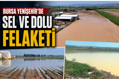Bursa Yenişehir'de sel ve dolu felaketi