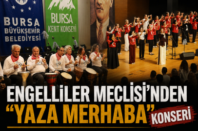 Engelliler Meclisi'nden "Yaza Merhaba" konseri