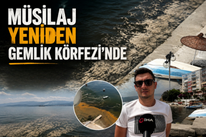 Müsilaj yeniden Gemlik Körfezi'nde