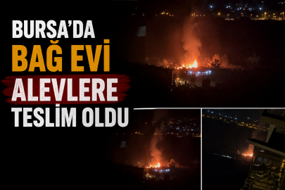 Bursa'da bağ evi alevlere teslim oldu