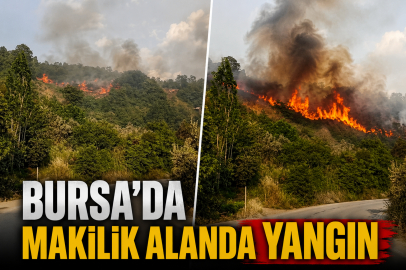 Bursa'da makilik alanda yangın