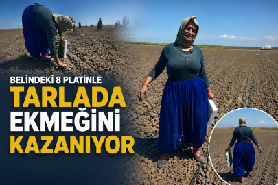 Belindeki 8 platinle tarlada ekmeğini kazanıyor