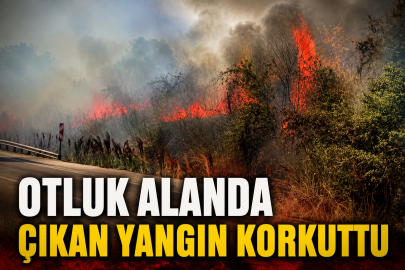 Otluk alanda çıkan yangın korkuttu