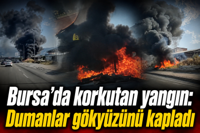 Bursa'da korkutan yangın: Dumanlar gökyüzünü kapladı